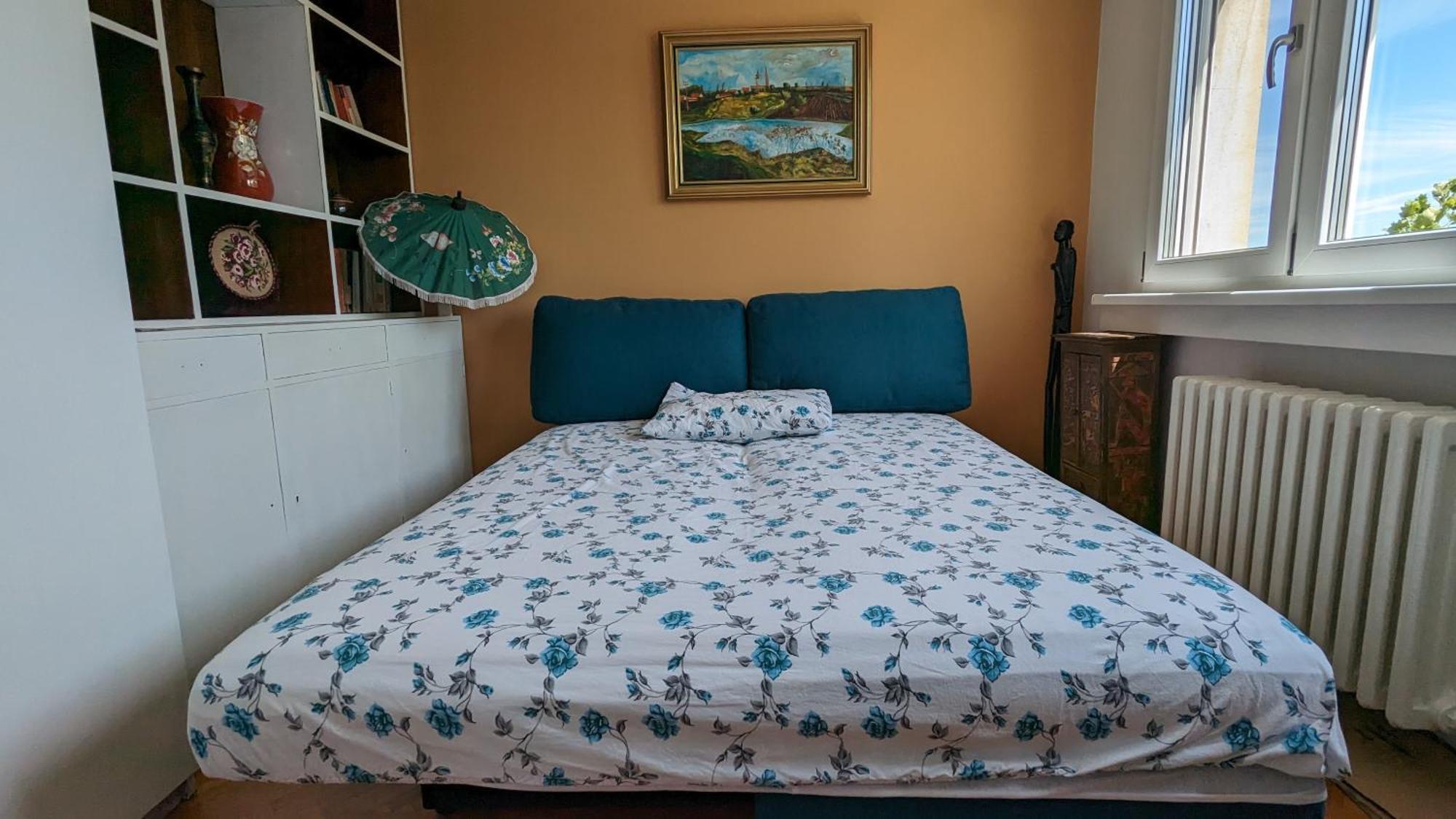 Center, Private Garage, Danube & Fortress, 3 Bdrm 2 Bath Novi Sad Eksteriør bilde